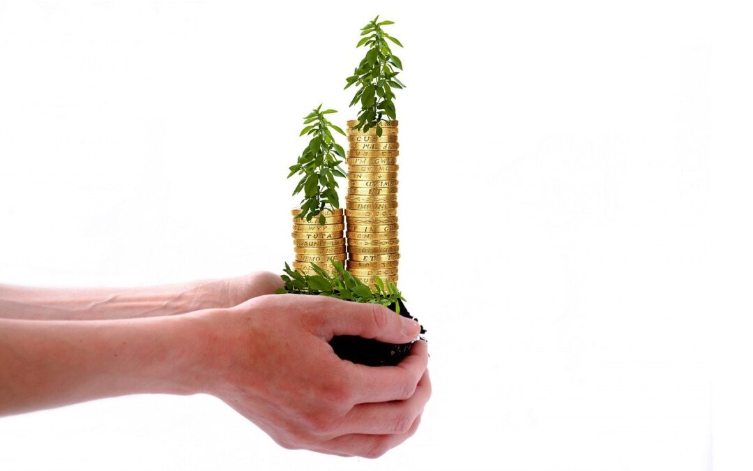 Holding money trees