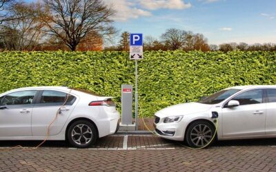 Electric cars for the business owner