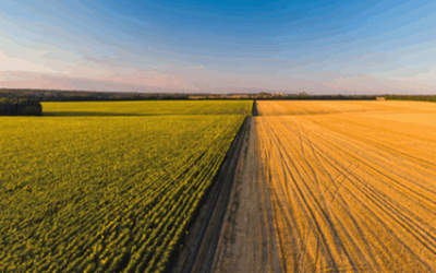 Changes to Inheritance Tax Reliefs from April 2026