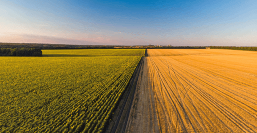 Changes to Inheritance Tax Reliefs from April 2026